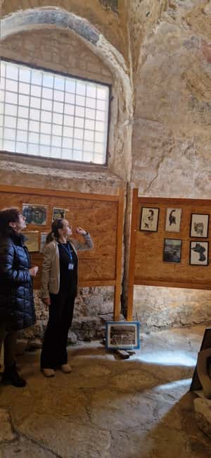 Zadar: Hidden Gems and History Tour - Passing St. Anastasia bell tower: a quick glimpse with purpose