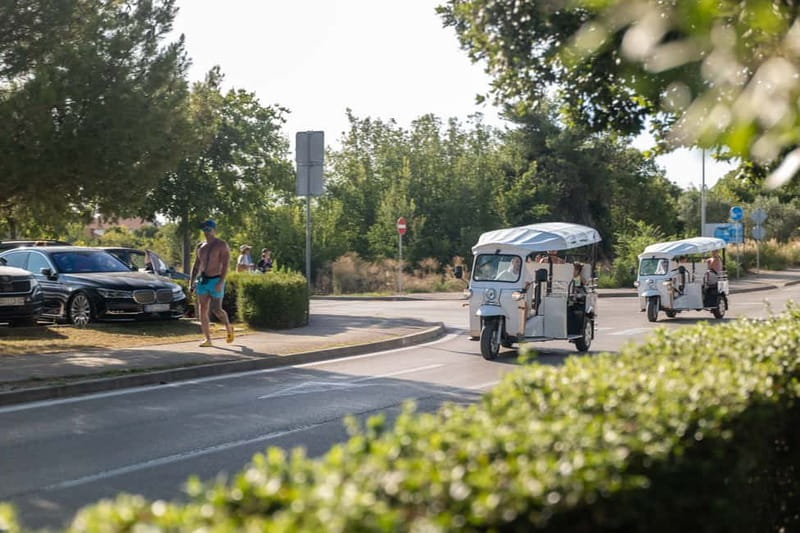 Zadar: Hidden Gems Eco Tuk Tuk Tour - The Sphinx of Zadar photo stop: small statue, big story