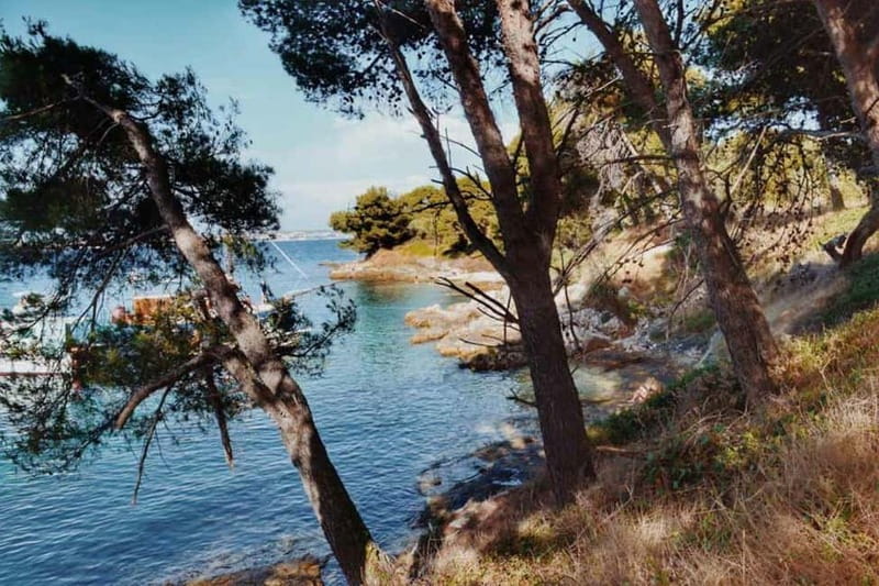 Zadar: Island cruise with drinks, snorkeling and kayaking - Seasickness and who this cruise fits best