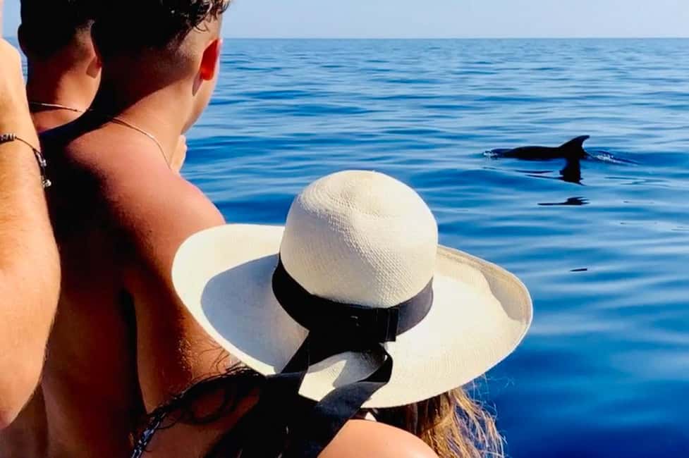 Zadar: Island-Hopping, Swimming & Snorkeling SpeedBoat Tour - Stop near Ugljan: first swimming and snorkeling in clear water