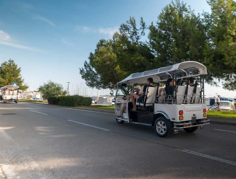 Zadar: Panorama Eco Tuk Tuk Tour - The Sphinx of Zadar: the weird detail that makes it memorable