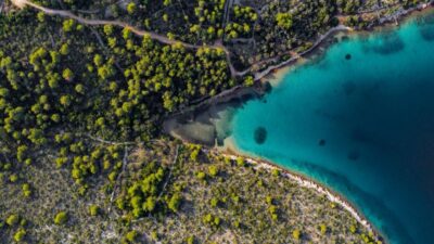 Zadar: Private Half Day Speedboat Tour - Zadar to Ugljan: the olive island approach and city views