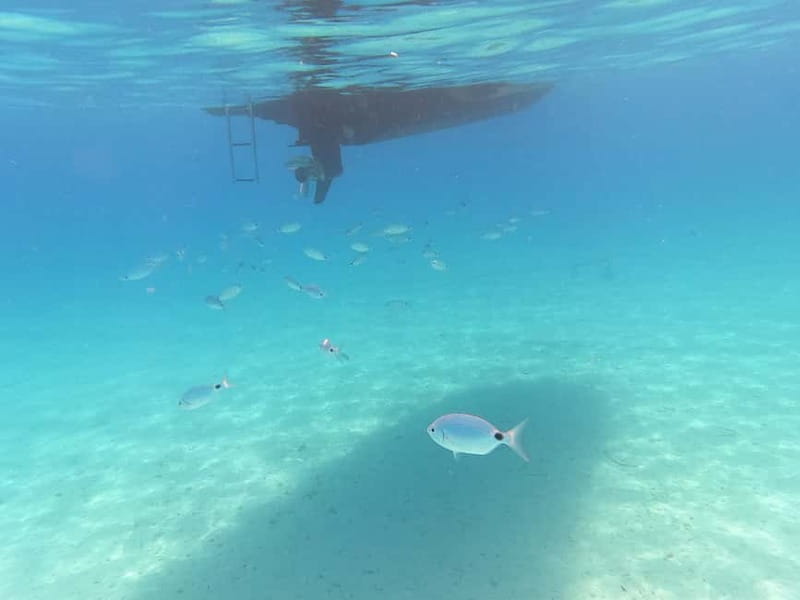 Zadar: Private SpeedBoat Tour to Islands - Drinks Included - Drinks, snorkeling gear, and what’s really included