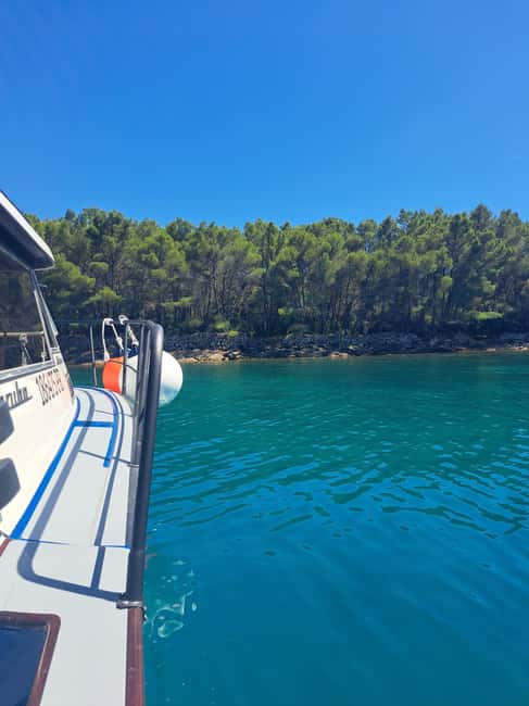Zadar: Private Tour to Ugljan, Osljak and Galevac - half day - Stop 3: Ošljak Island Break for Swimming and Island Views