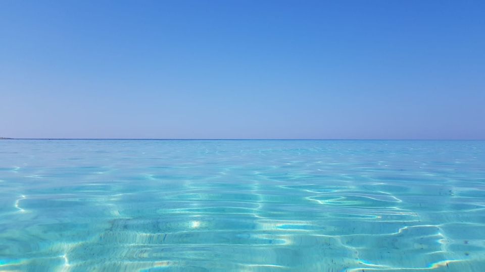 Zadar: Sakarun Bay, Golubinka Cave & Veli Žal Speedboat Tour - Price and value: $506 for the group, plus a fuel surcharge