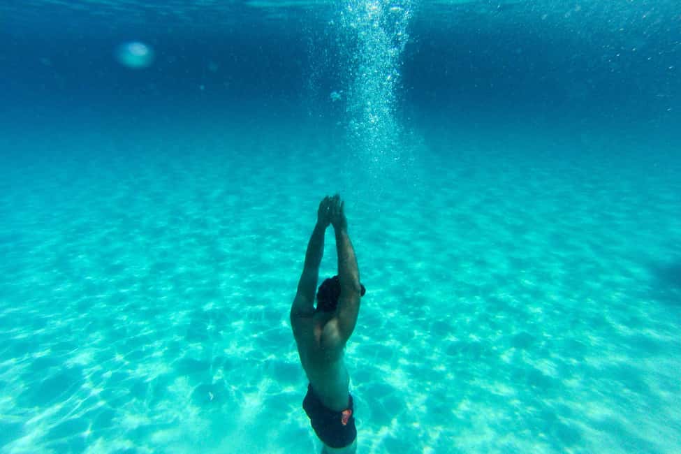 Zadar: Sakarun Beach & Dugi Island Speedboat Tour w/Diving - Dugi Otok swimming + the pine-tree cove: why this stop feels different