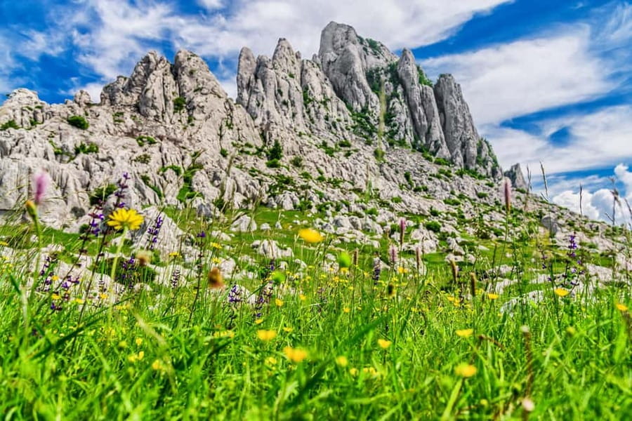 Zadar: Scenic trip to mountains, caves and rivers - Historic Master’s Road: the drive that feels like part of the experience