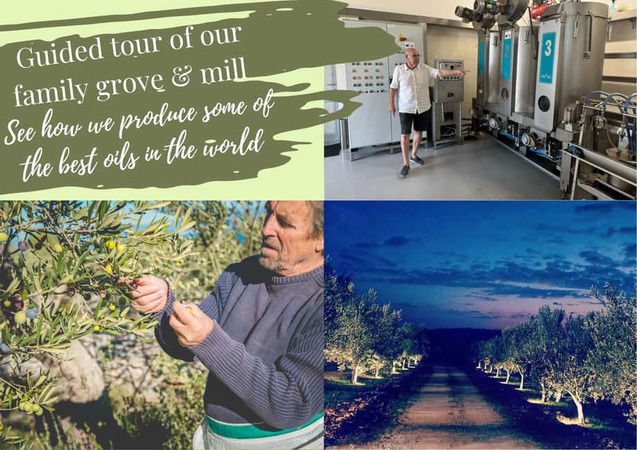 Zadar, Šibenik: olive oil, wine & food tasting, Self Drive - Croatian wine tasting: sight, smell, swirl, sip, savour