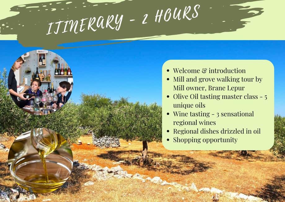 Zadar, Šibenik: olive oil, wine & food tasting, Self Drive - The food pairing: Dalmatian bites built around olive oil