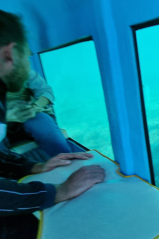 Zadar: Yellow Semi-Submarine Underwater Exploration Tour - Zadar’s Yellow Semi-Submarine: What This Really Feels Like