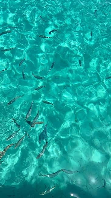 Zadar:3 Pearls of Zadar Speedboat Tour with Wine & Fruit - Who should book this speedboat tour with wine and fruit