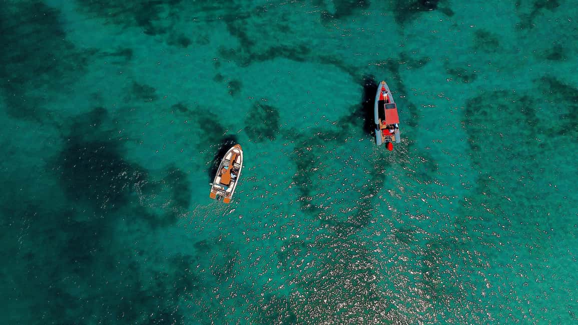 Zadar:Speedboat Tour Thrill Ride with Snorkeling on 3 island - Key things that make this Zadar tour worth your time