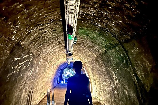 Zagreb Highlights: Private Walking Tour with Local Guide - Cathedral of Zagreb to Dolac Market: Neo-Gothic Grandeur Meets Daily Life