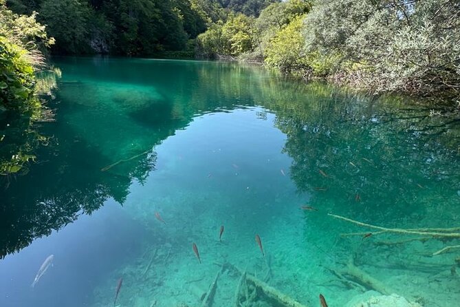 Zagreb: Plitvice Lakes With Secured Tickets, Boat And Train Ride - Getting Started in Zagreb: 8:30 AM at Zrinjevac