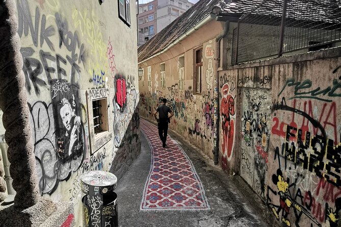 Zagreb Street Art Private Walking Tour with a Local Artist - Meeting at Trg bana Josipa Jelačića: Getting Oriented Fast