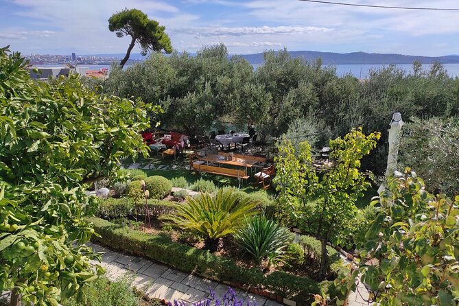 Zinfandel Wine Tasting & Storytelling with Dalmatian Food - Who should book this Kaštela wine evening